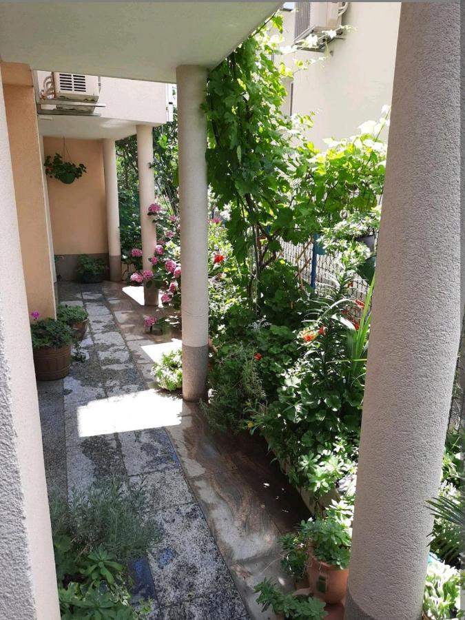 Hotel Vila Doris Baška Voda Exteriér fotografie